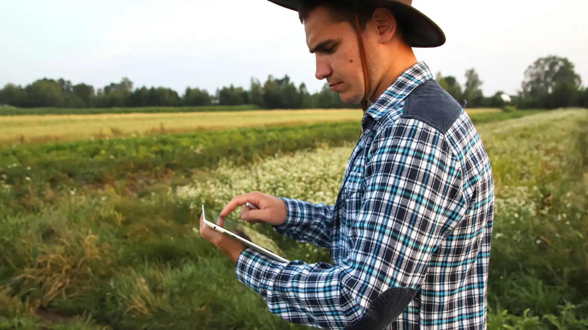 Do Improviso à Decisão Inteligente: Transformando a Gestão Rural com Aplicativos